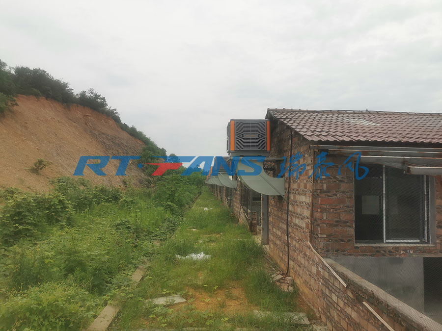 豬場降溫,濕簾冷風機,環(huán)保空調(diào)